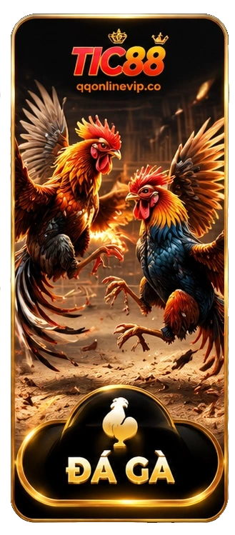Sảnh game đá gà tic88